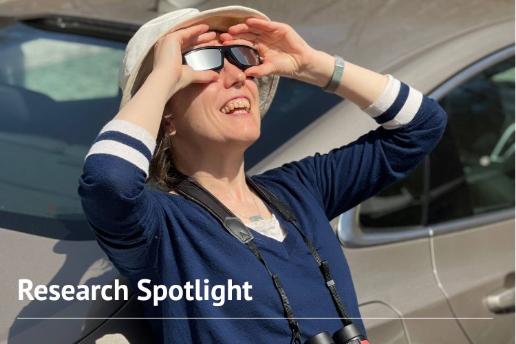 A person with sun-safe glasses on looks up at the sun, to see an eclipse